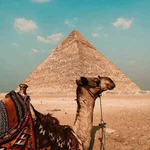 Egypt Tours